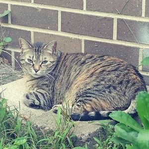 Meet your Posher, Karen